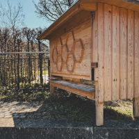 Schulbienen